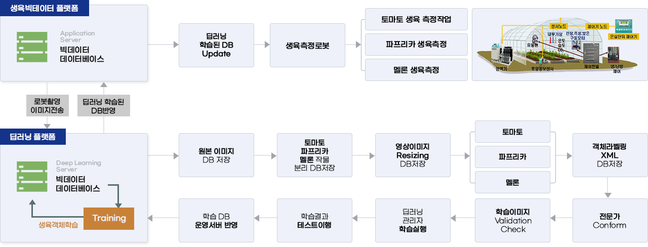 작물 생육 인공지능(AI) 개념도 이미지